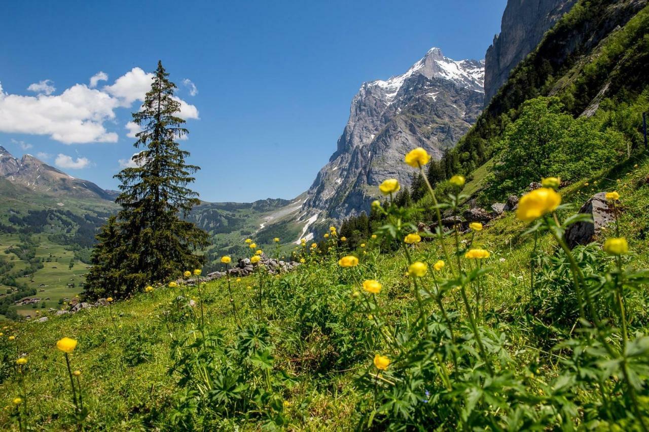 Apartamento Chalet Verbrunnenhaus Grindelwald Exterior foto